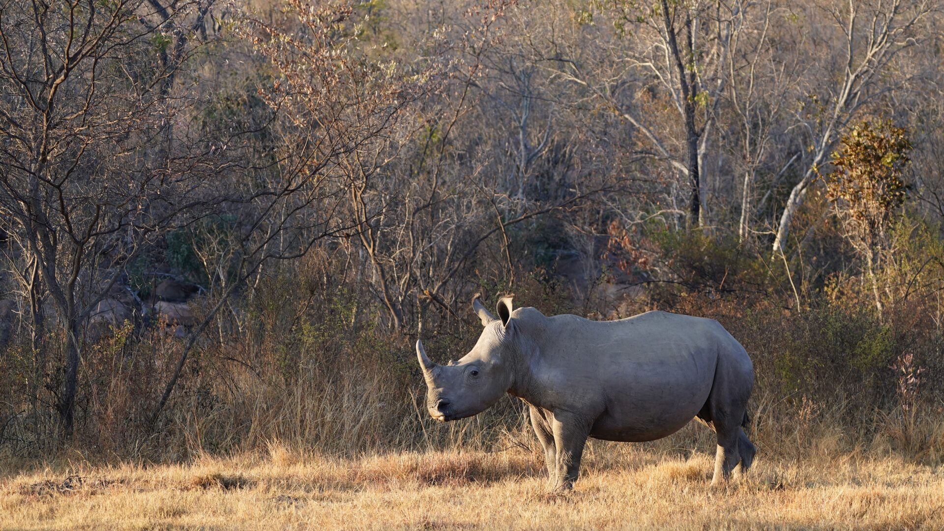 The Travel Captains - Fotoreis Zuid-Afrika