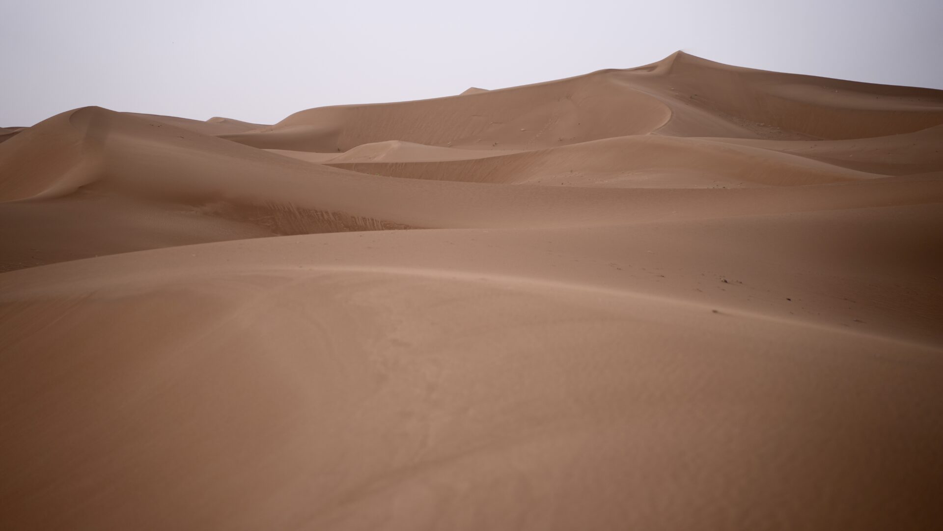 The Travel Captains - Fotoreis Marokko