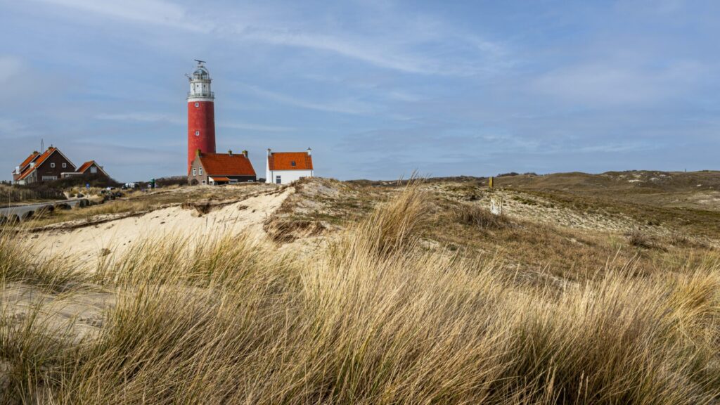 - The Travel Captains 