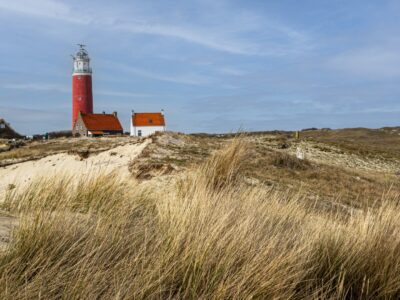 - The Travel Captains 